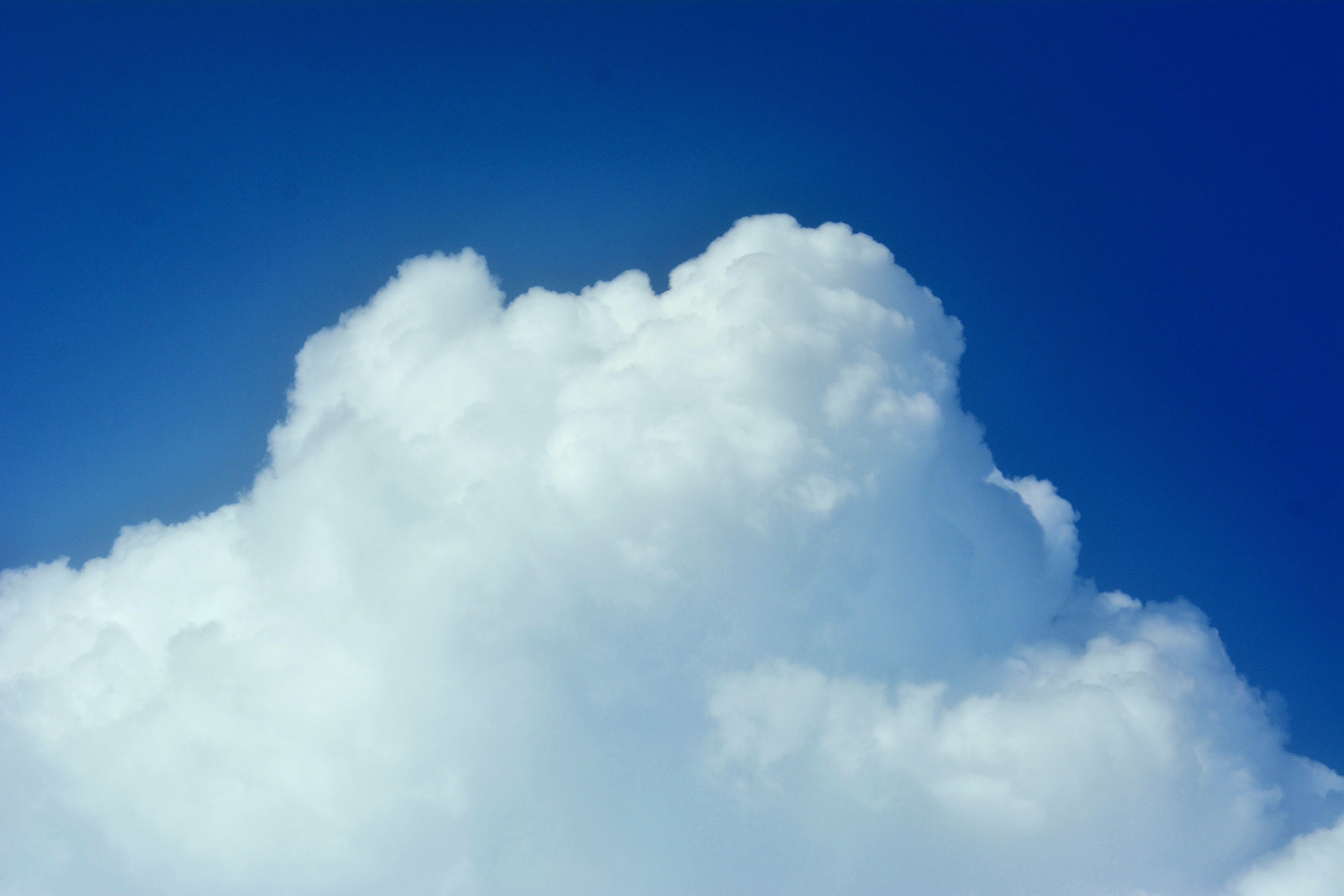 作品