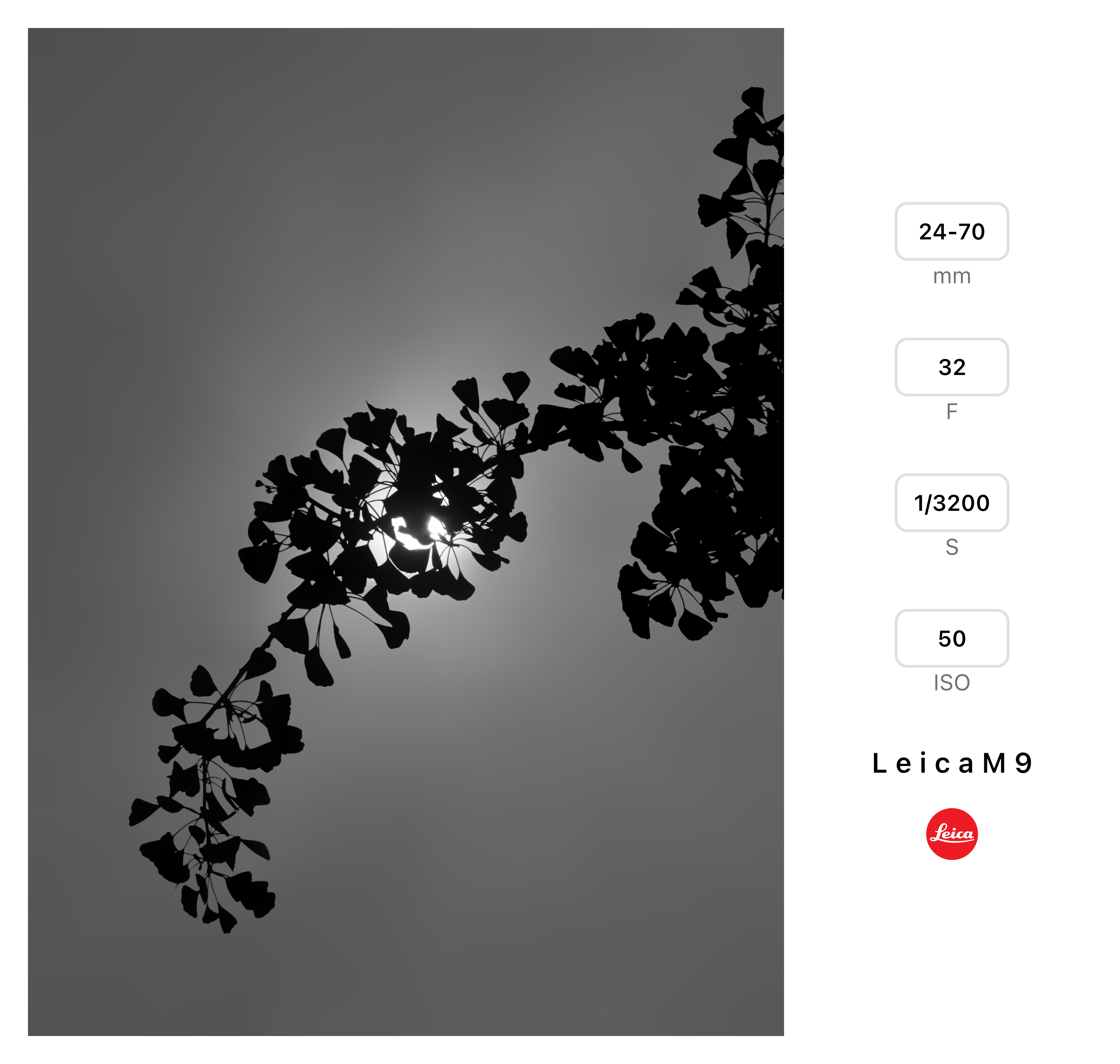 作品