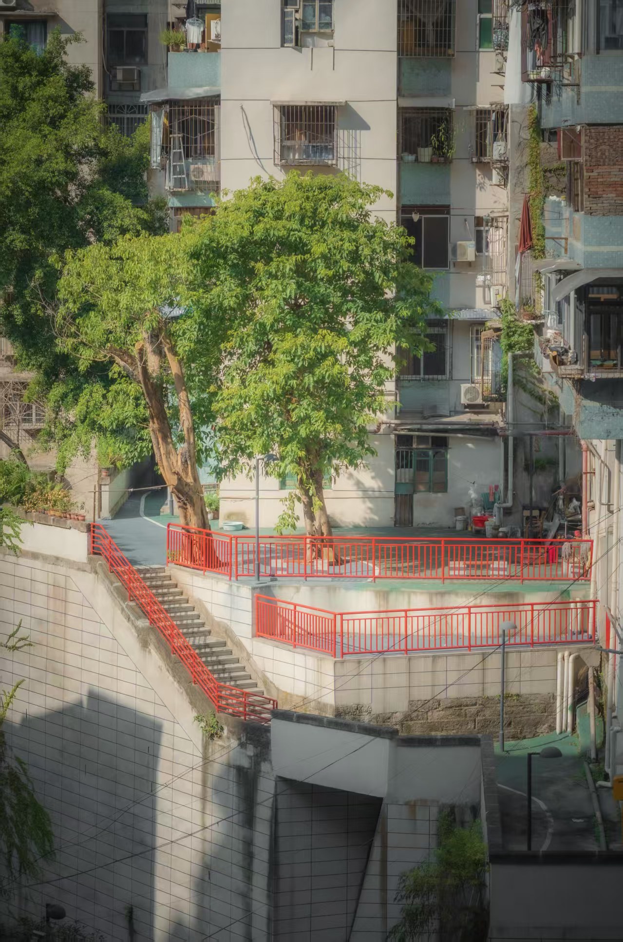 作品