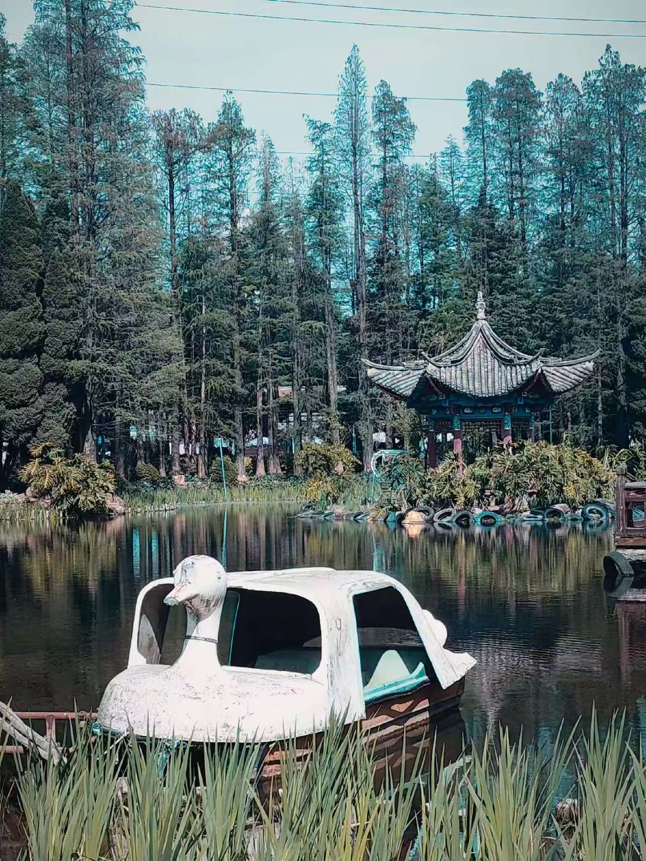 作品