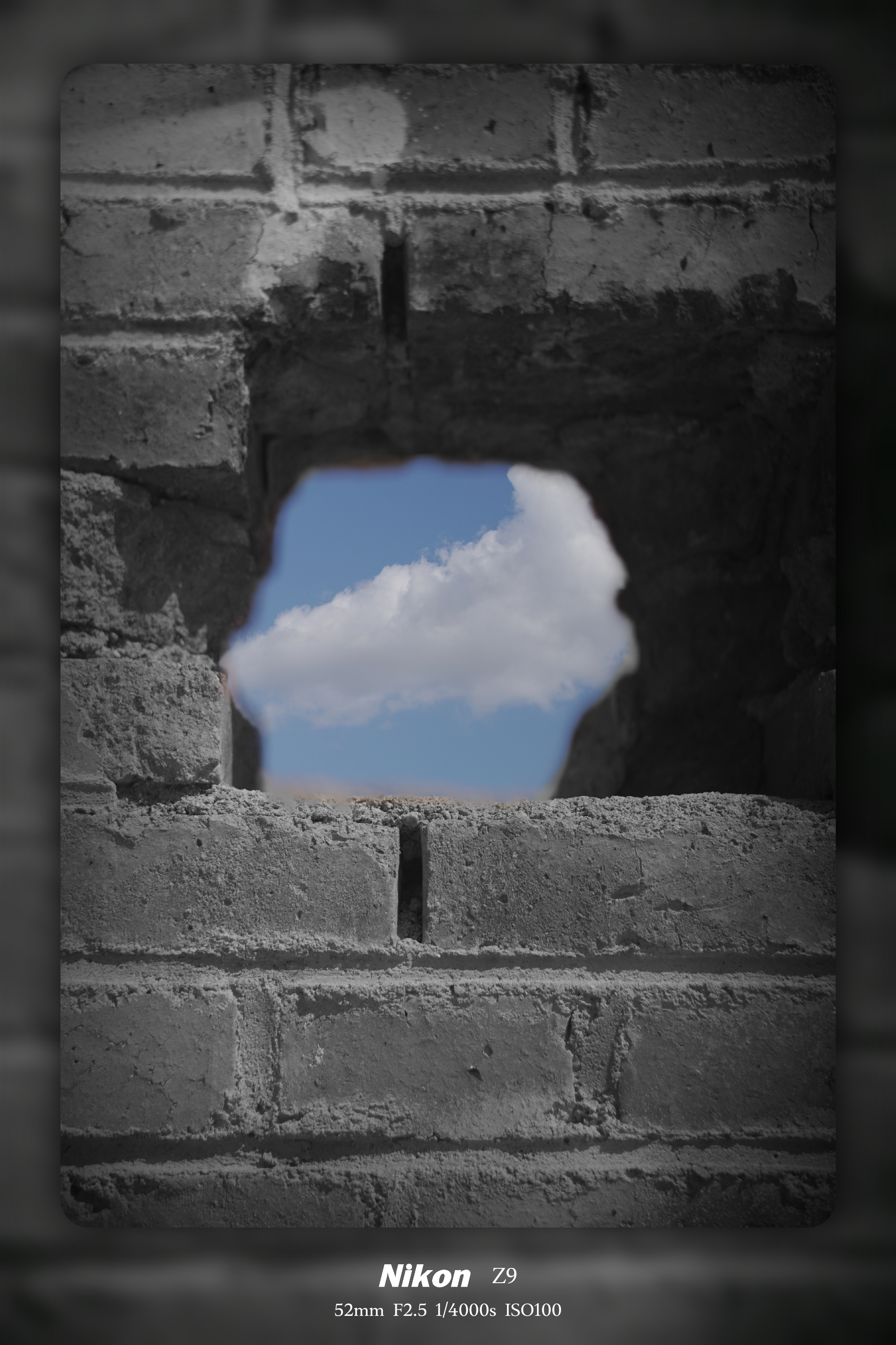 作品