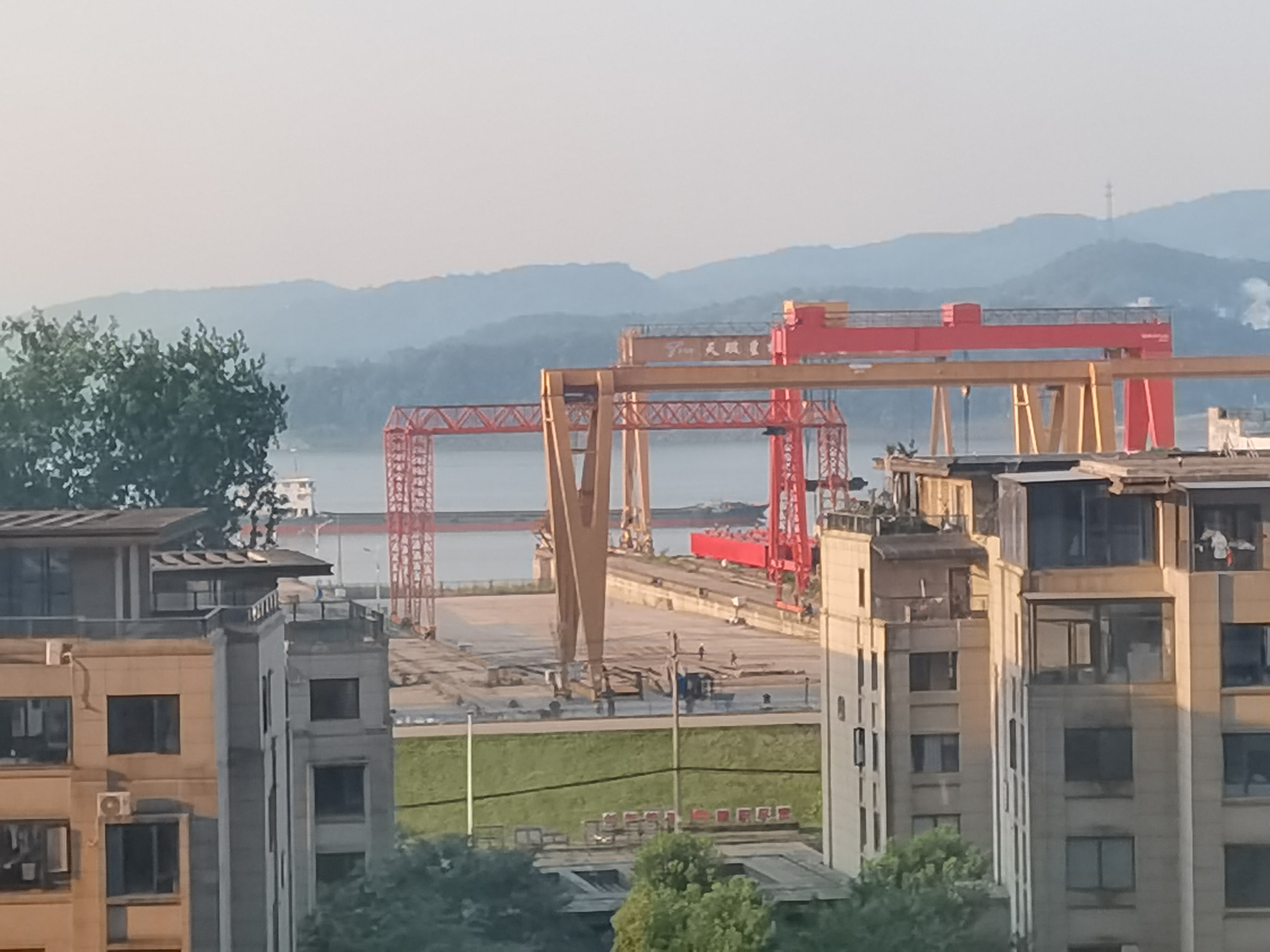 小刘 作品