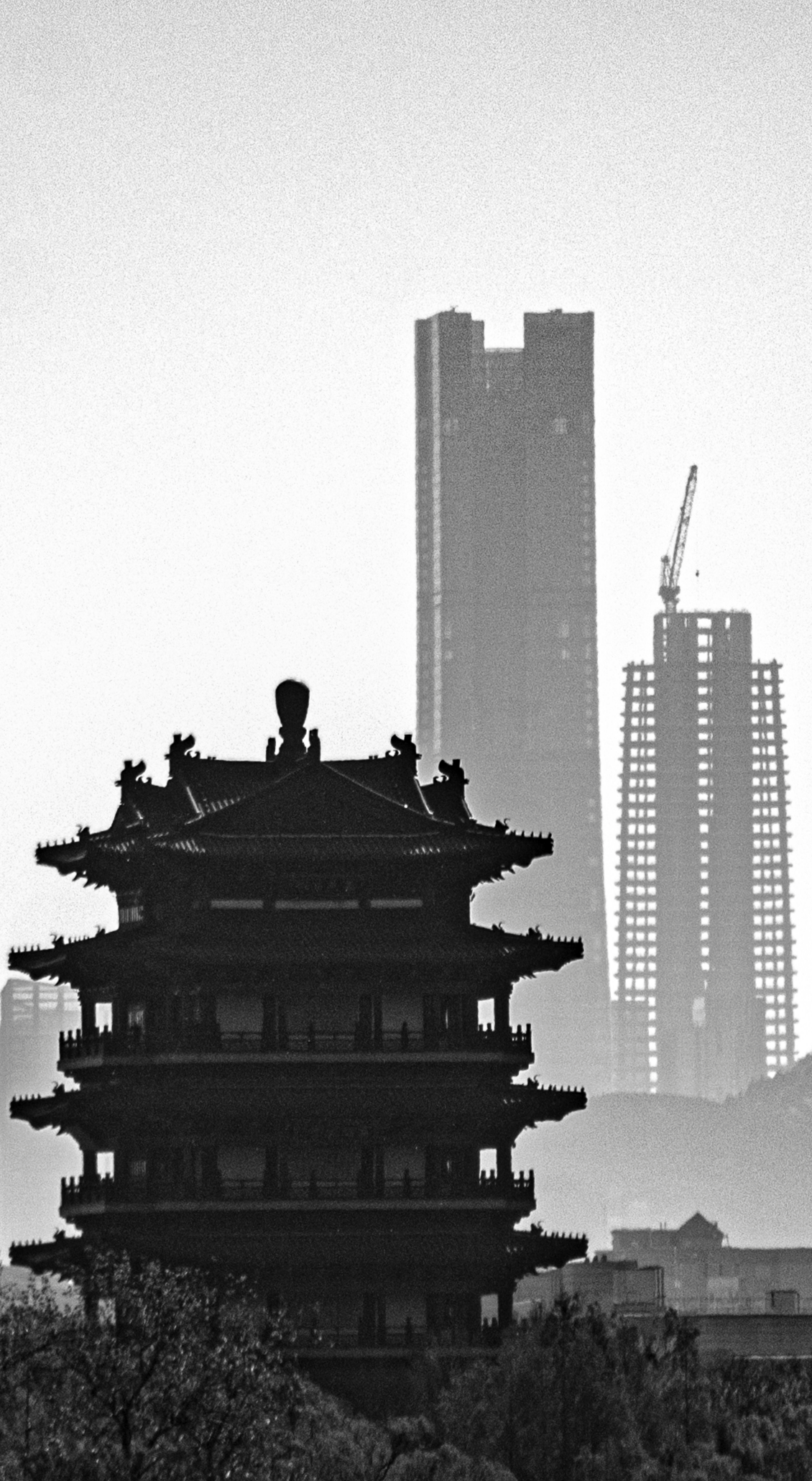付子路 作品