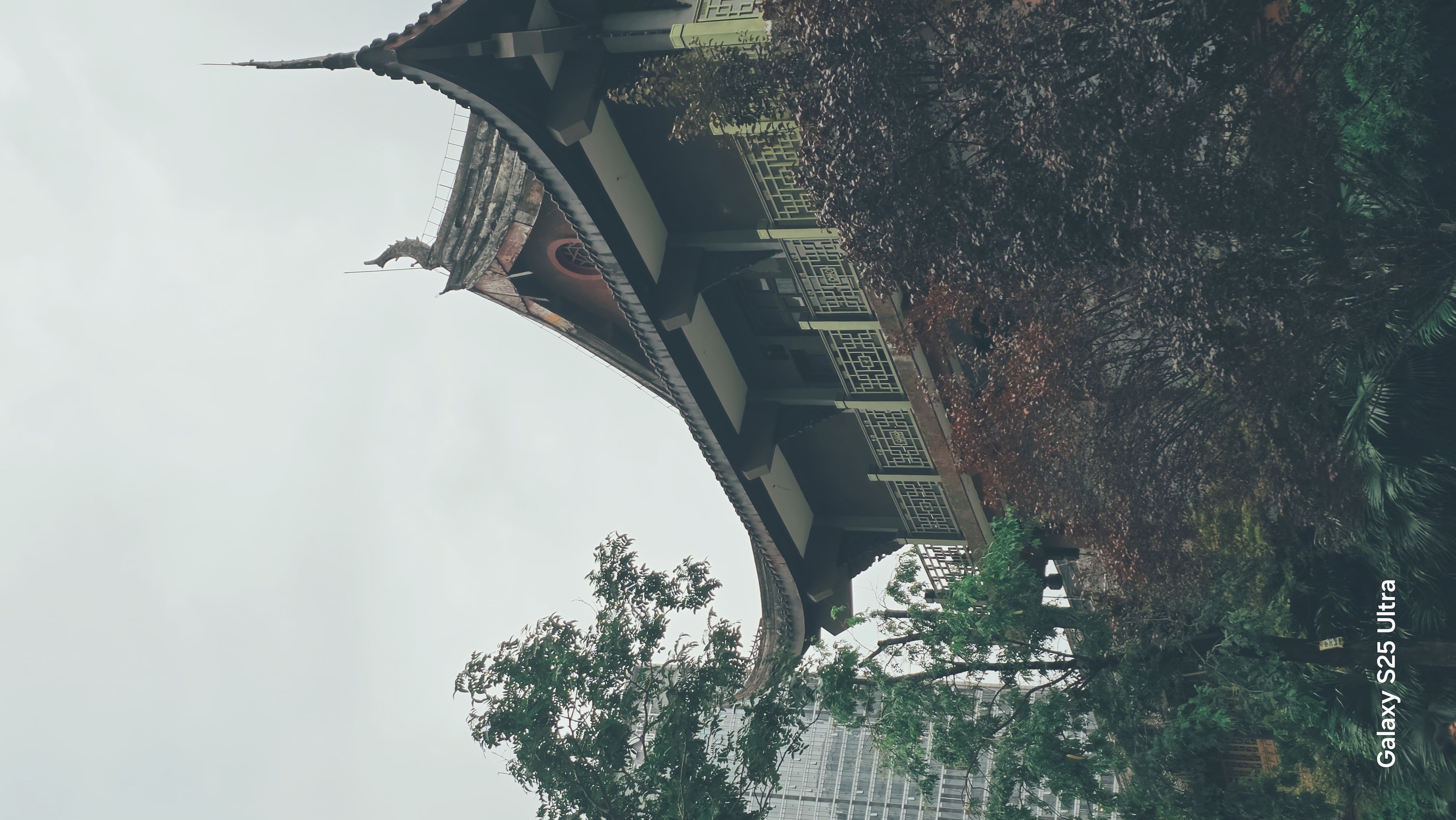 作品