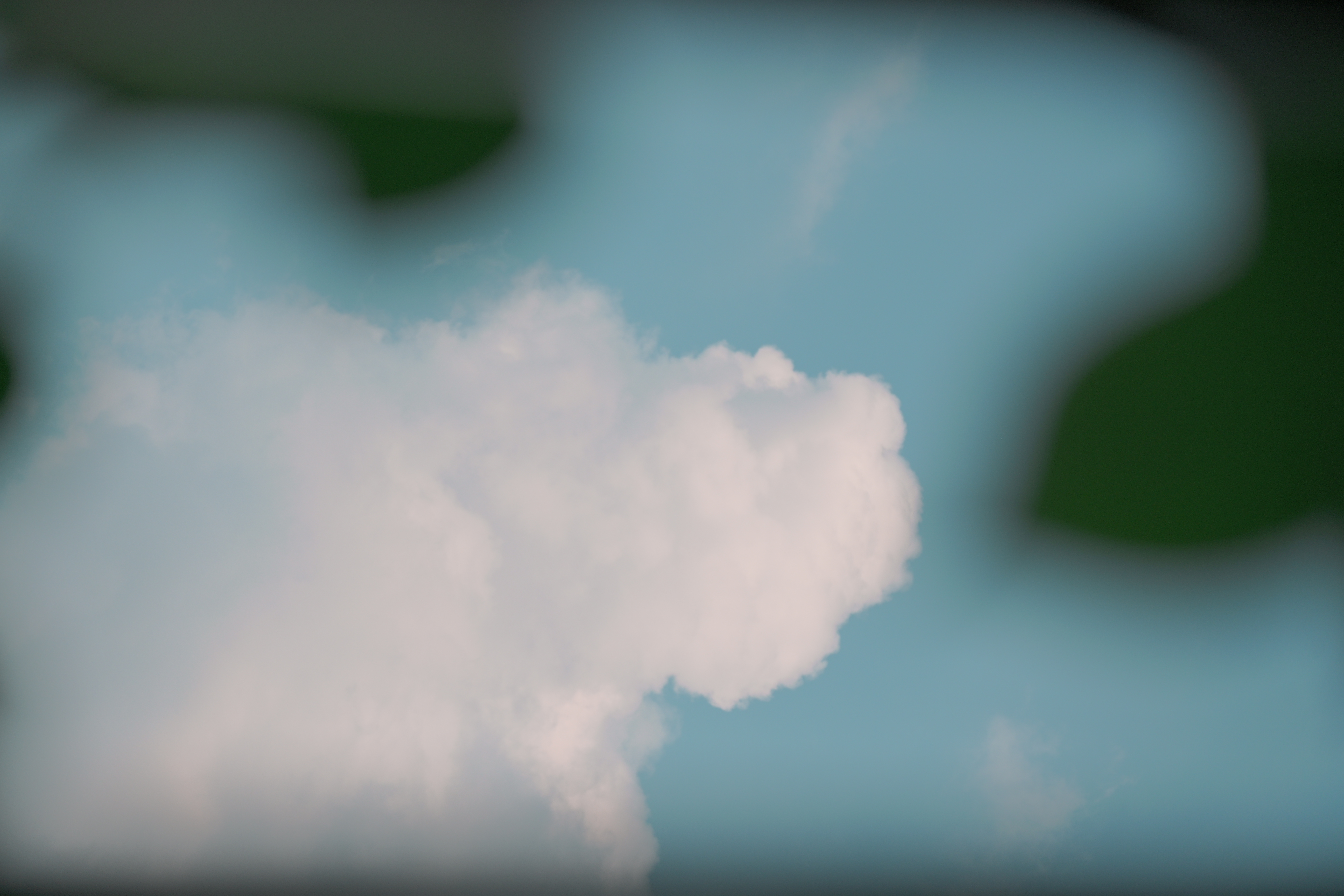 作品
