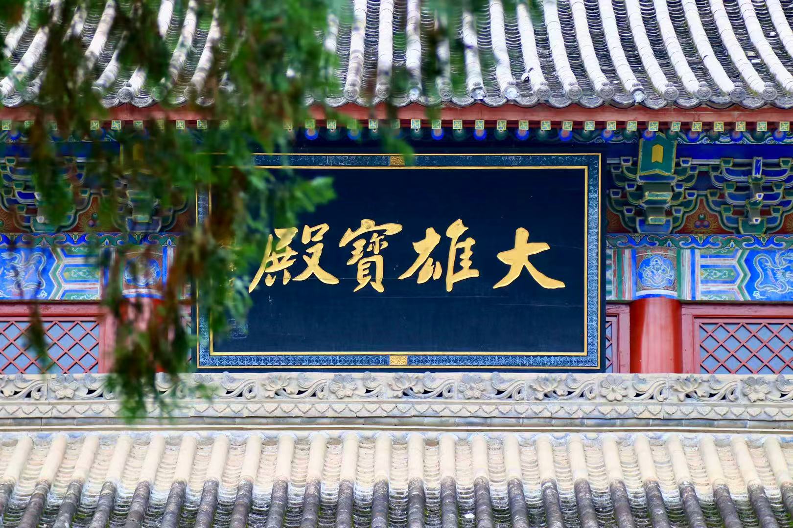 好困睡不醒 作品