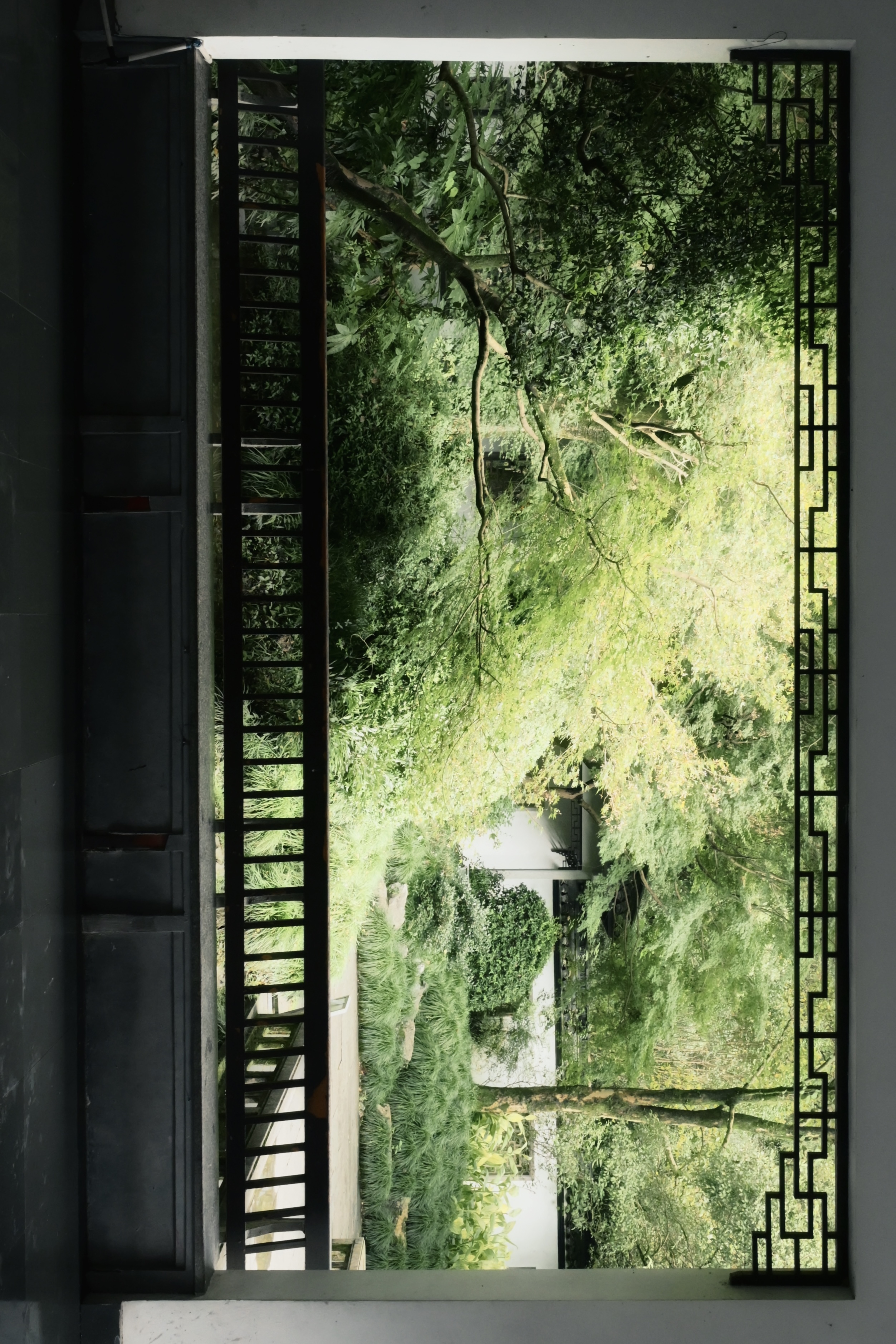 作品