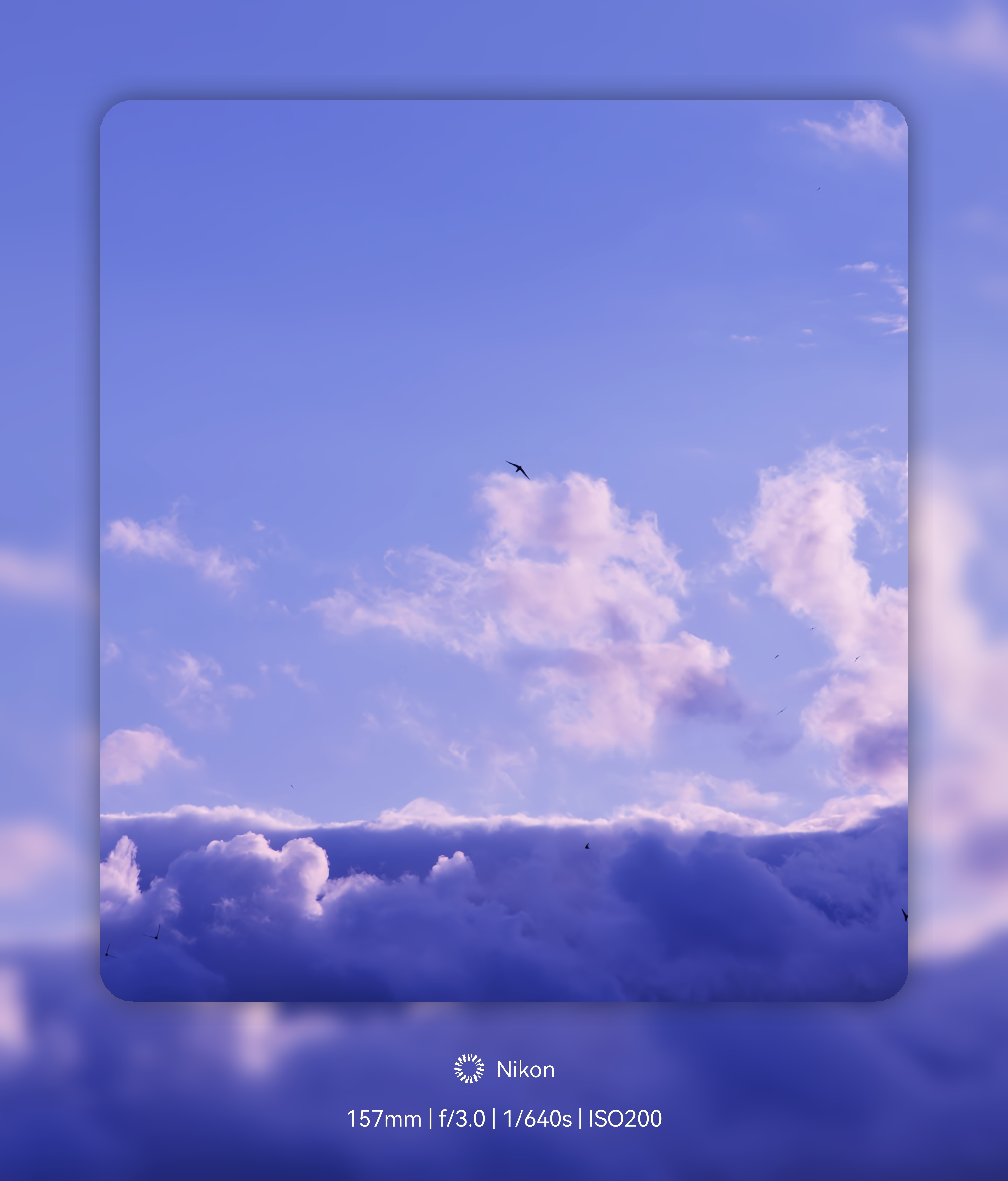 作品