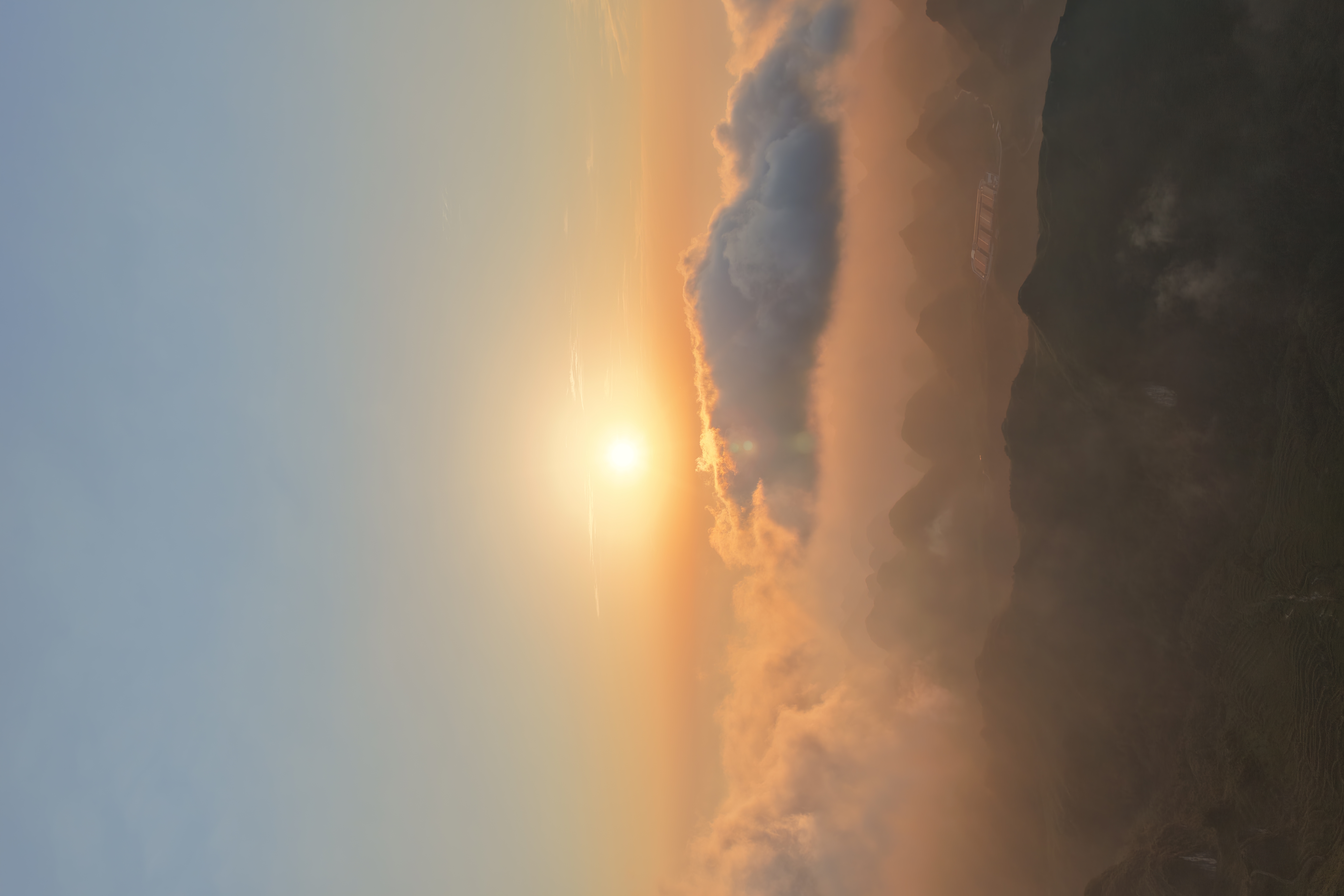 作品