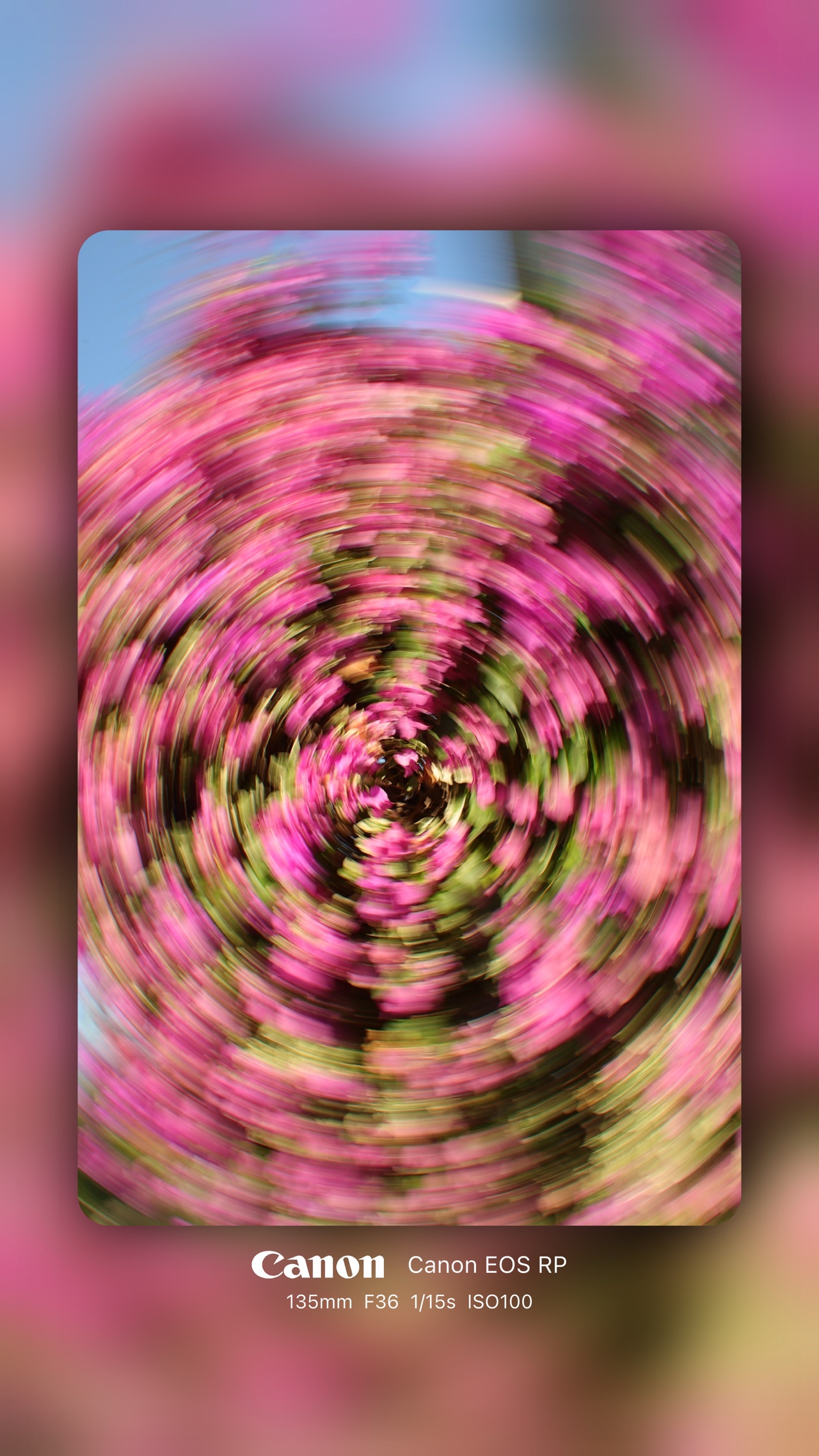 作品