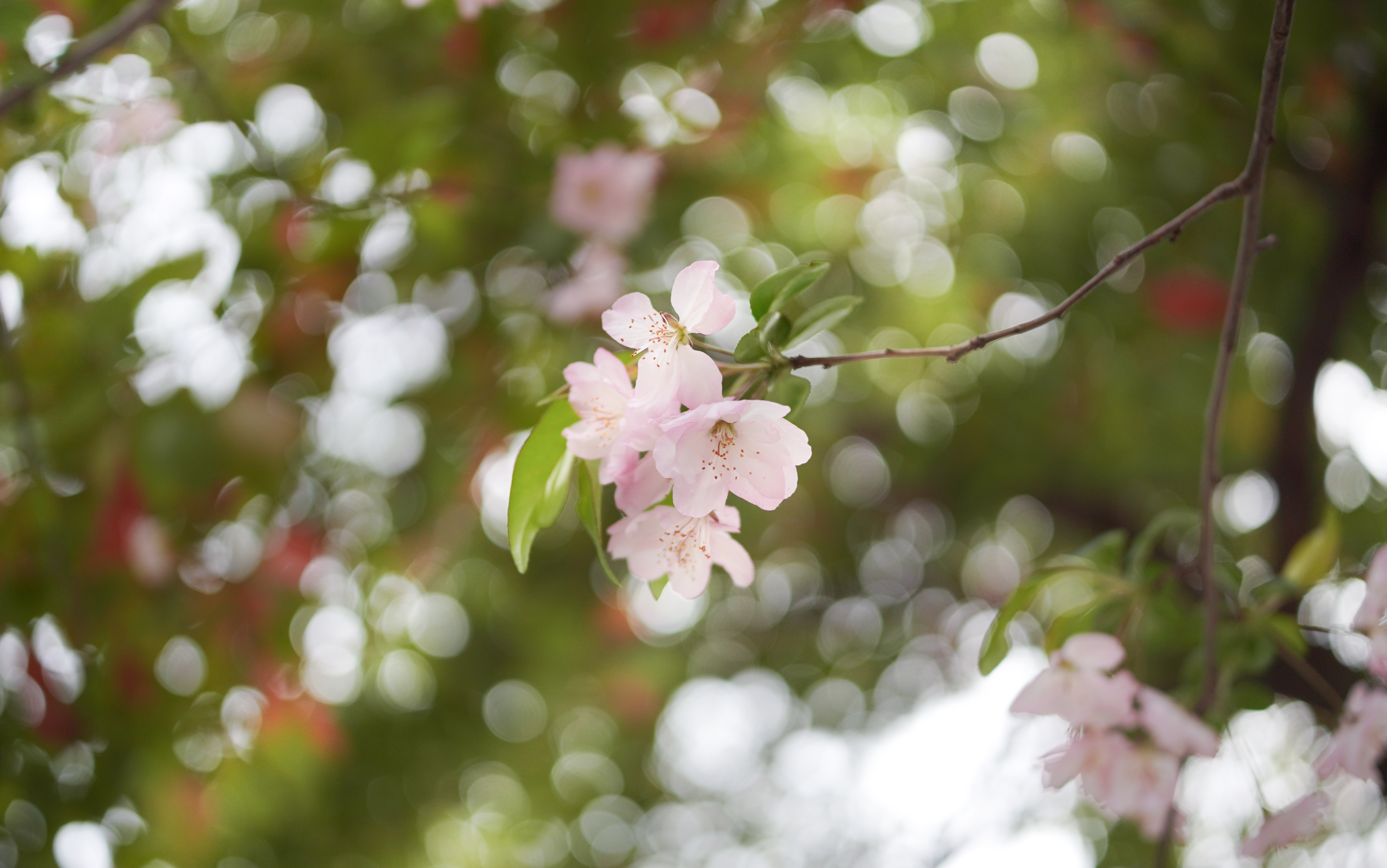 何故photography 作品