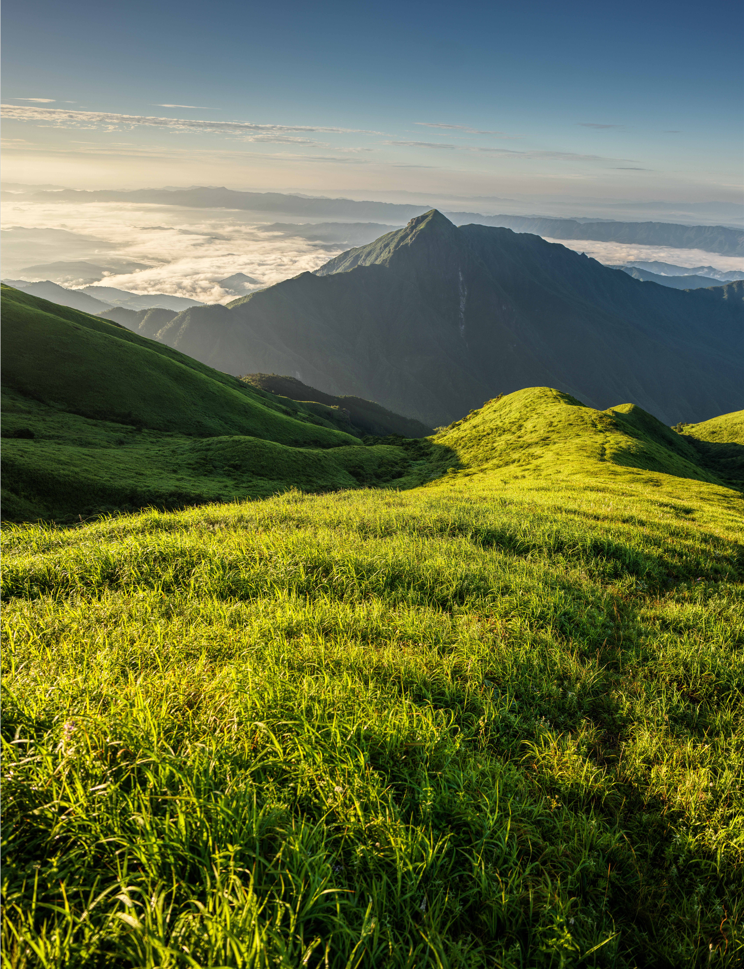 作品
