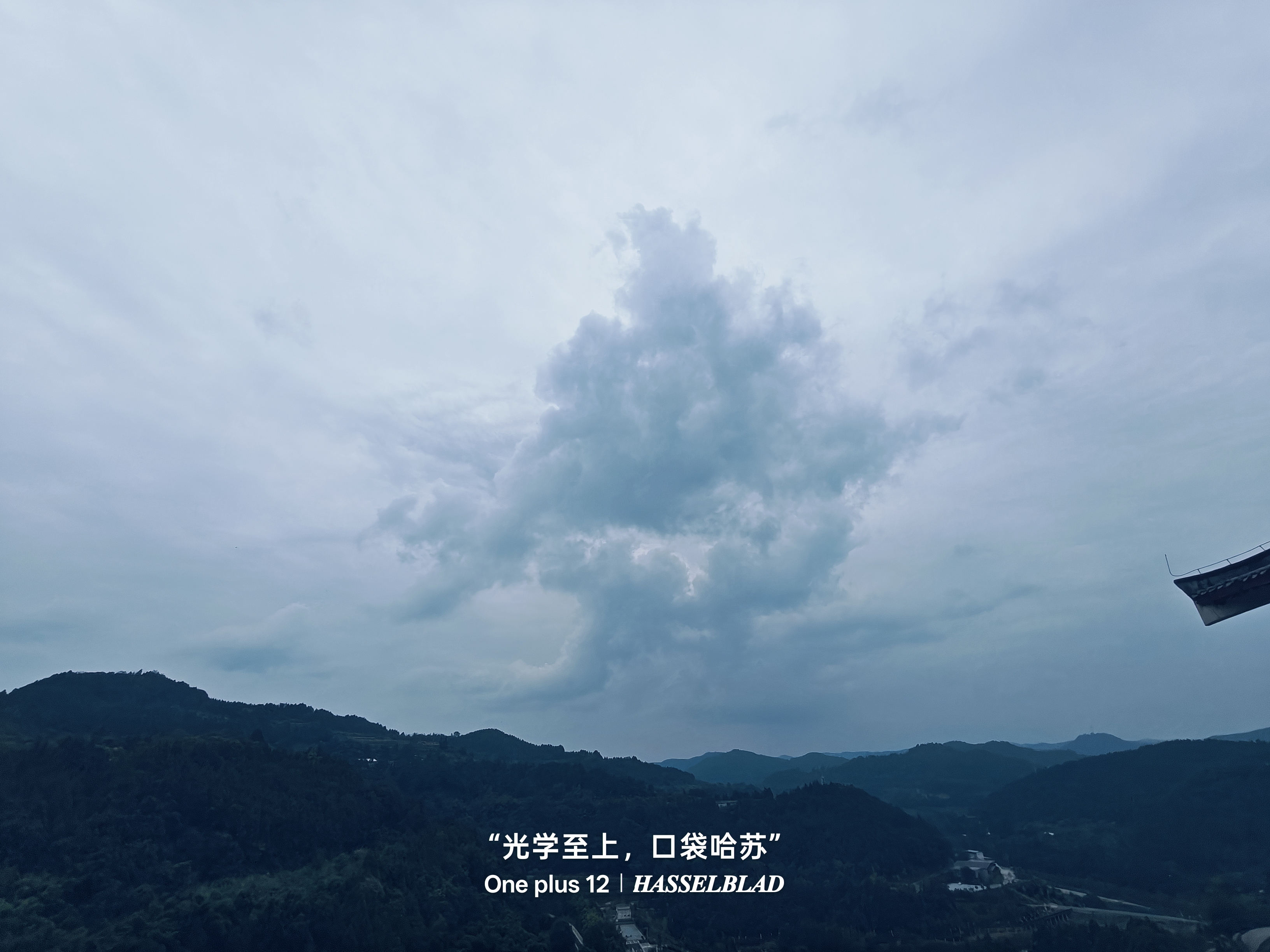 作品