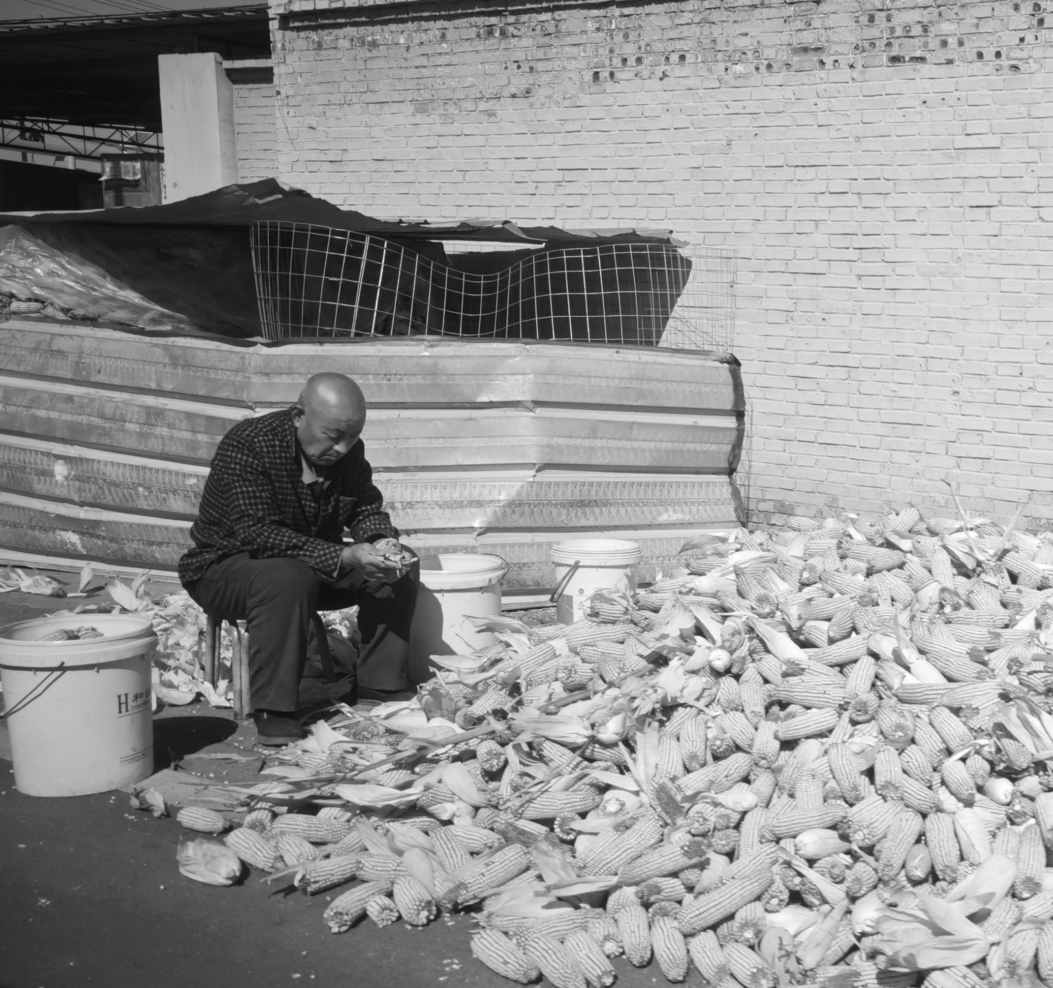 作品