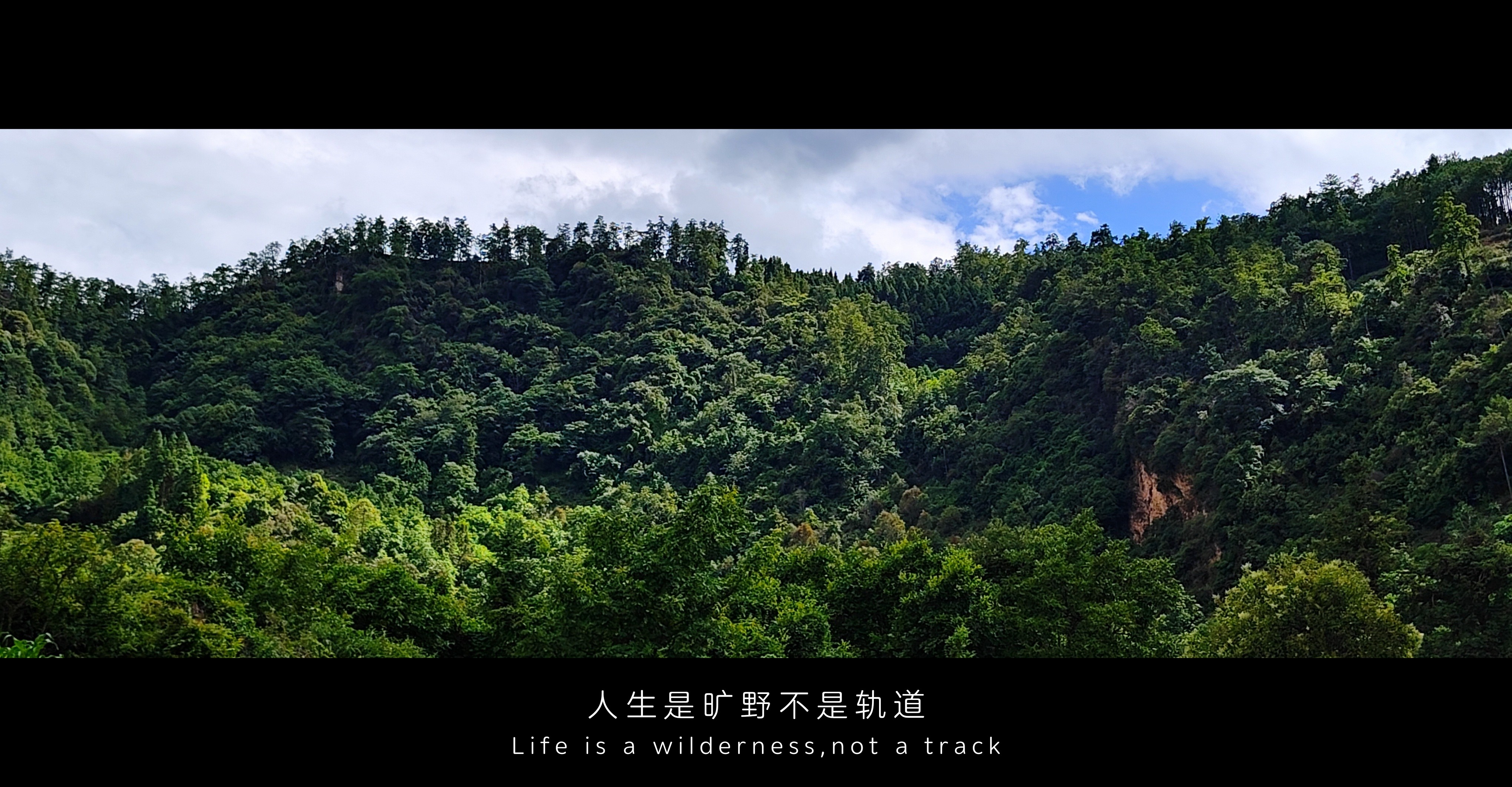 作品